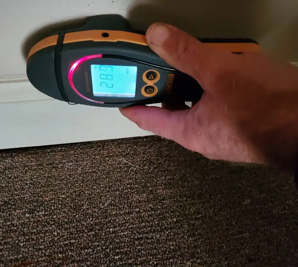 Moisture detection at baseboard during Mold Inspection & Testing in Molalla